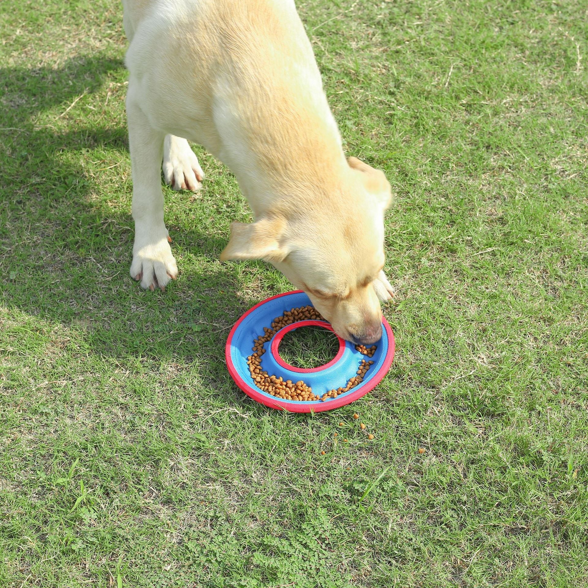 KFX-9018173 Interactive Floating Water Pet Frisbee - Bite Resistant Dog Toy, 9 Inches, Available in Multiple Colors