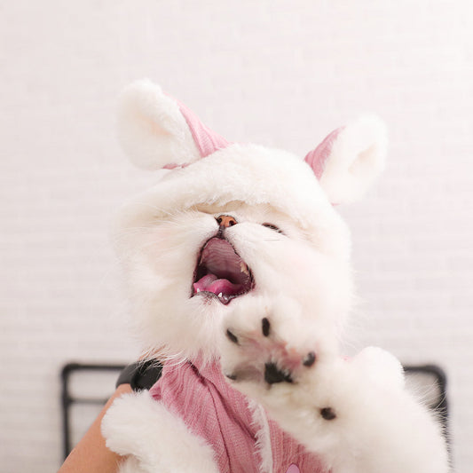 KFX-9018557 Cozy Polyester Fiber and Plush Kitten Clothes for British and American Shorthairs