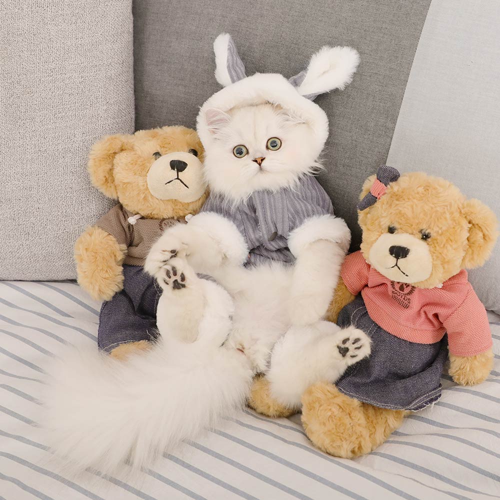 KFX-9018557 Cozy Polyester Fiber and Plush Kitten Clothes for British and American Shorthairs