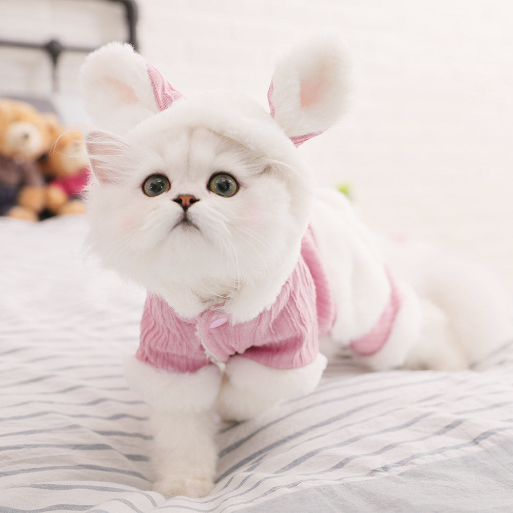 KFX-9018557 Cozy Polyester Fiber and Plush Kitten Clothes for British and American Shorthairs