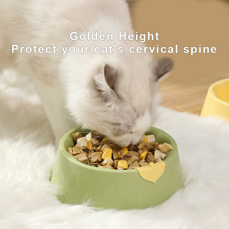 KFX-9025213 Pet Feeding Bowl Set for Dogs and Cats - Double Plastic Dish with Anti-Tipping Design, Easy to Clean