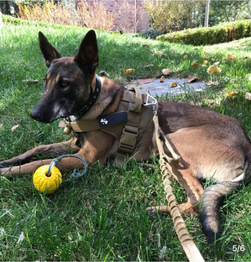 KFX-9033277 Adjustable Tactical Dog Leash and Collar Set for Medium and Large Dogs - Ideal for Walking and Training