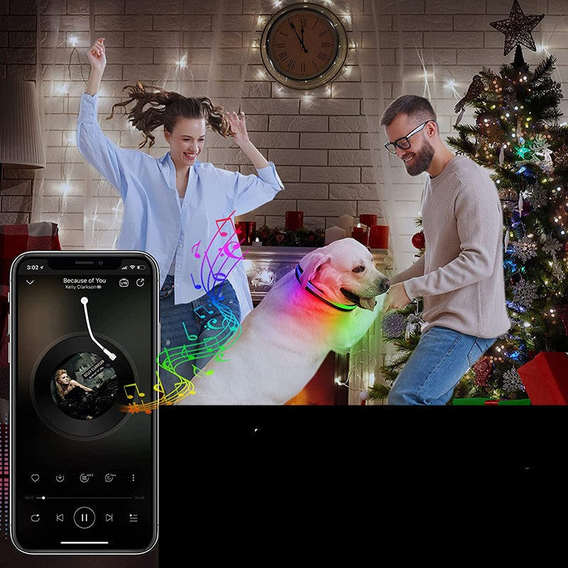 KFX-9035453 USB Rechargeable Shiny Black Dog Collar in Multiple Sizes