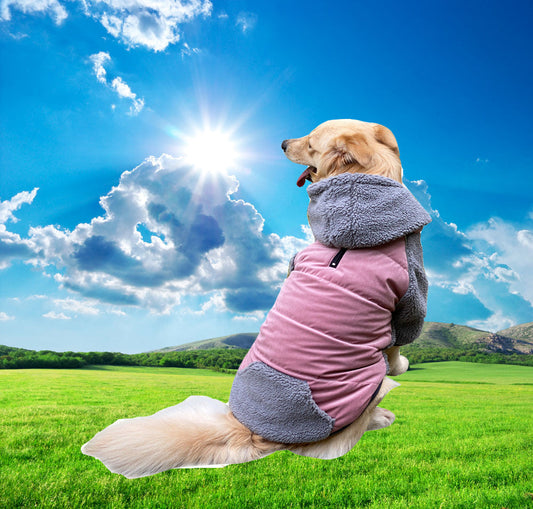KFX-9037885 Detachable Double-Sided Dog Clothes in Various Colors and Sizes