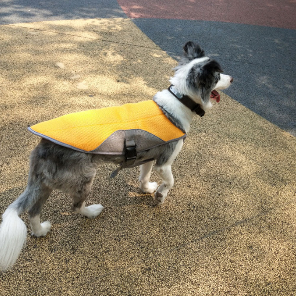 KFX-9043389 Cooling Vest for Dogs - Breathable Mesh with Heat-Resistant Fabric, Suitable for Outdoor Activities