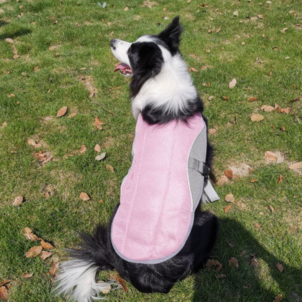 KFX-9043389 Cooling Vest for Dogs - Breathable Mesh with Heat-Resistant Fabric, Suitable for Outdoor Activities