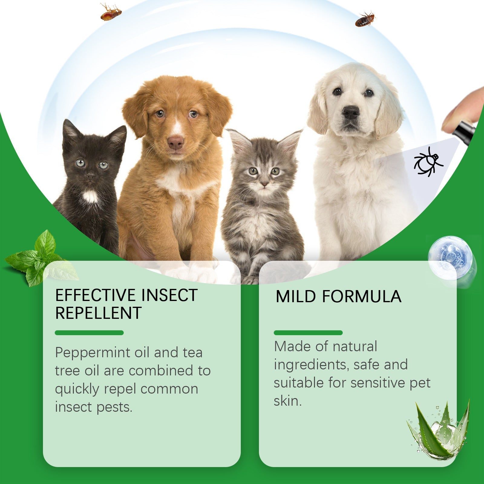 KFX-9046845 Gentle Daily Cleaning Care Solution for Dogs - 100ml Insect Repellent Spray