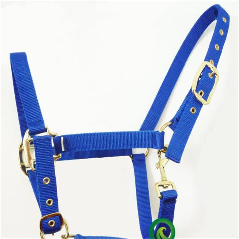 KFX-9048765 Customizable Horse Bridle with Neoprene Lining – Equestrian Headgear and Supplies