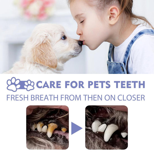 KFX-9052605 Pet Oral Cleaning Spray with Natural Tea, Licorice, and Mint Extracts for Fresh Breath and Gum Health