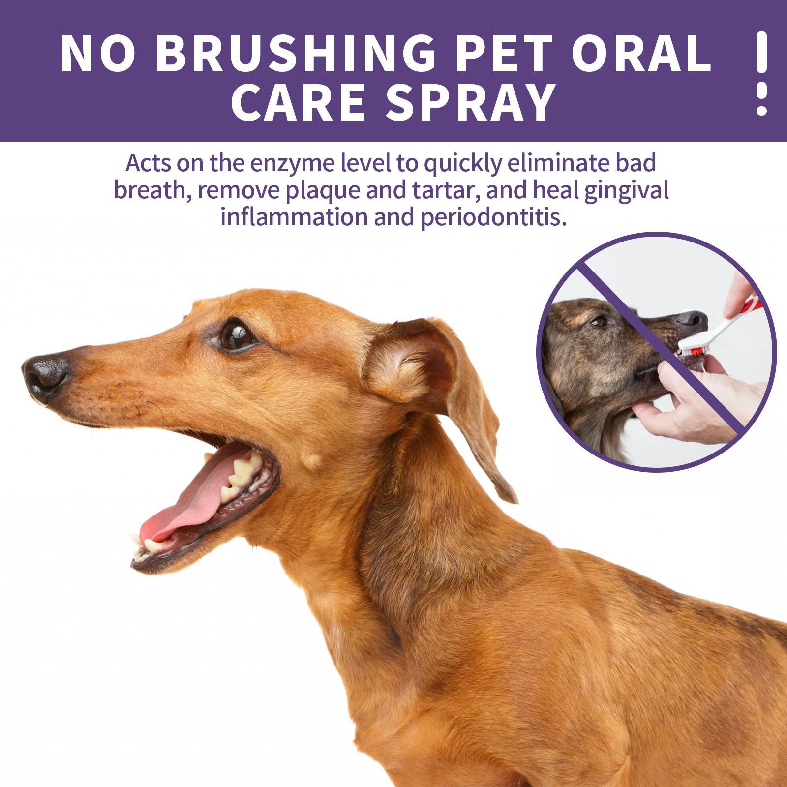 KFX-9052605 Pet Oral Cleaning Spray with Natural Tea, Licorice, and Mint Extracts for Fresh Breath and Gum Health