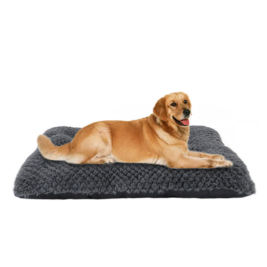 KFX-9062333 Non-Slip Short Haired Pineapple Doghouse in Gradient Colors – Various Sizes Available