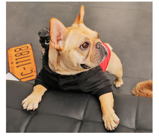 KFX-9076413 Cozy Padded Cotton Coat for Small Dogs – Casual Winter Wear in Black and Red