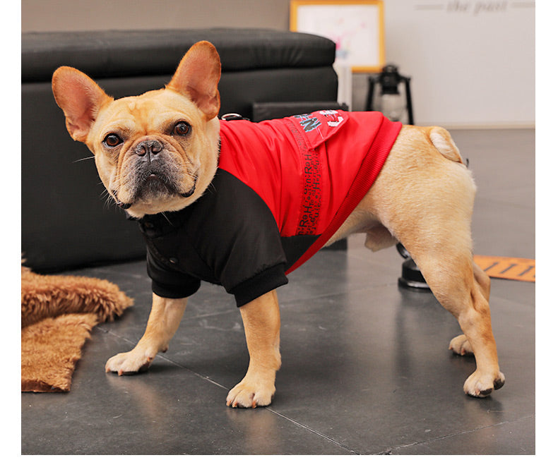 KFX-9076413 Cozy Padded Cotton Coat for Small Dogs – Casual Winter Wear in Black and Red
