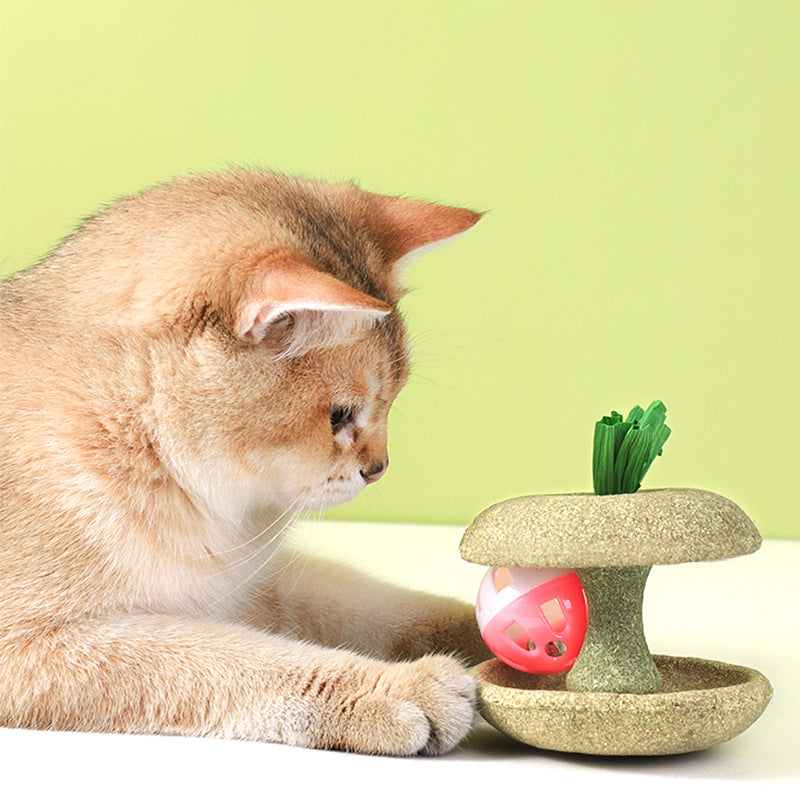 KFX-9080381 Catnip Toys for Cats with Bell - Safe and Healthy Edible Catnip for Chasing and Dental Care