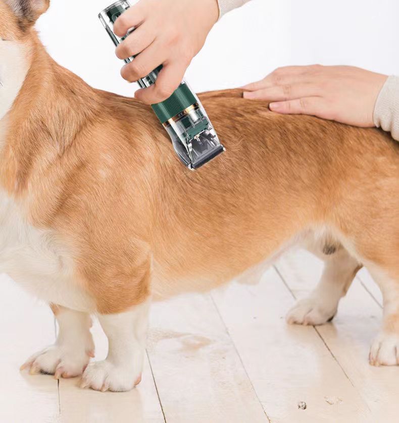 KFX-9089085 Waterproof Pet Hair Trimmer Set for Cats, Dogs, and Rabbits with Adjustable Speed and Titanium Ceramic Blades