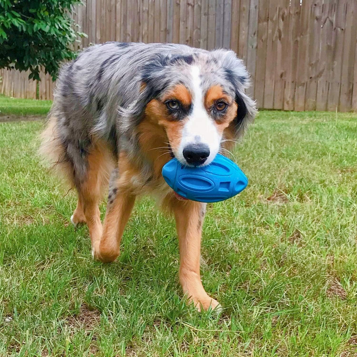 KFX-9090749 Durable Rubber Chew Ball with Squeaker for Medium and Large Dogs, Ideal for Aggressive Chewers