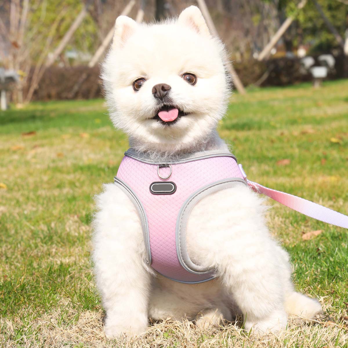 KFX-9091645 Lightweight Polyester Pet Chest Strap with Leash - Multiple Color Options