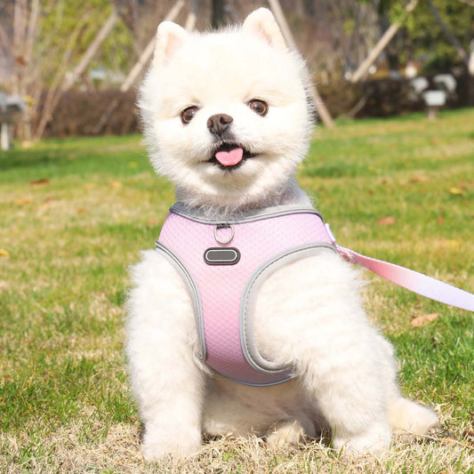 KFX-9091645 Lightweight Polyester Pet Chest Strap with Leash - Multiple Color Options