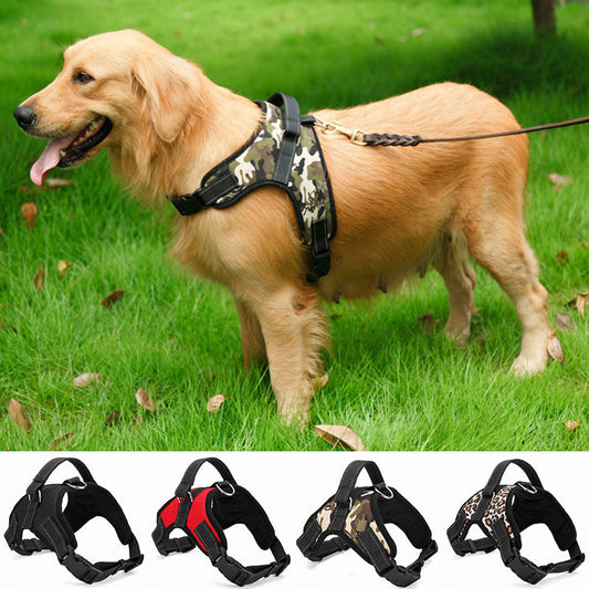 KFX-9098301 Durable Nylon Dog Collar for Medium and Large Breeds in Multiple Colors and Sizes