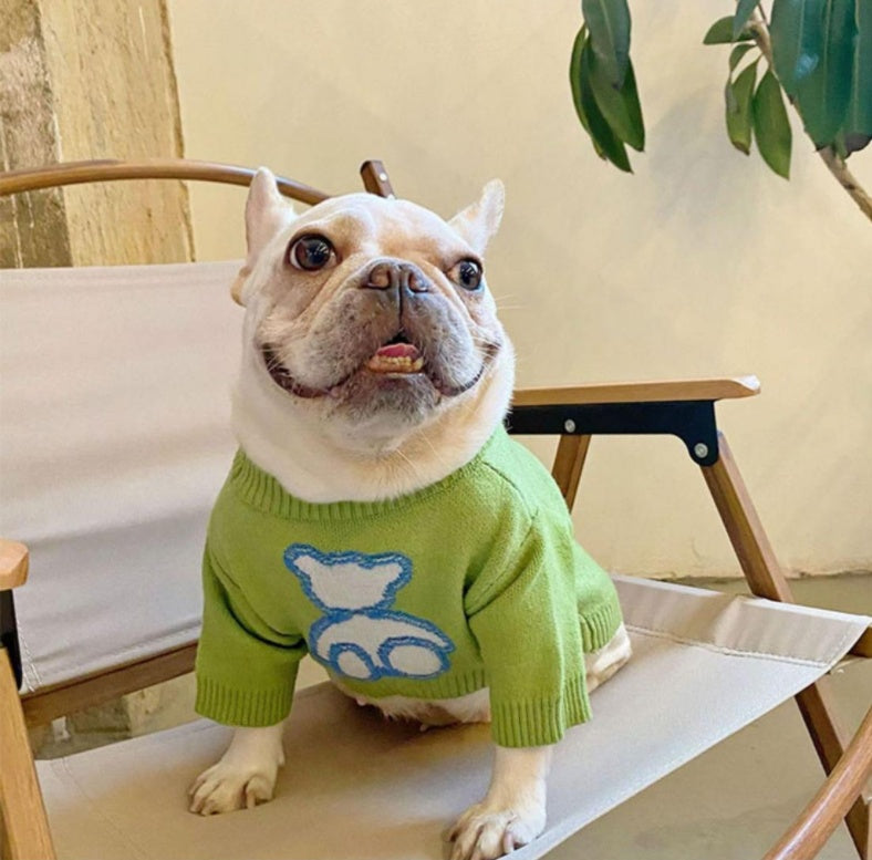 KFX-9107133 Cozy Blue Bear Dog Sweater for Pugs and Corgis - Autumn/Winter Wear