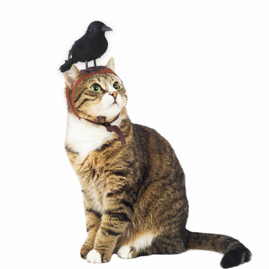 KFX-9109565 Crow-Inspired Cat Dress Headgear for Stylish Pets - Felt Material, Available in S and M