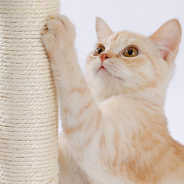 KFX-9115965 Indoor Multi-Activity Cat Playground with Scratch Post, Soft Groomer, and Ball Track