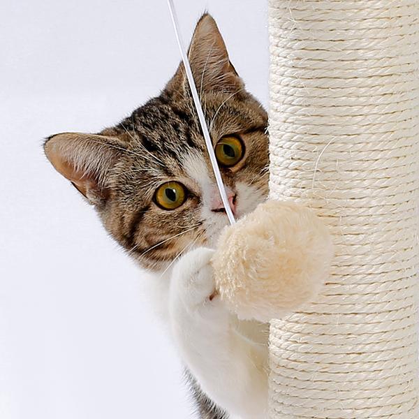 KFX-9115965 Indoor Multi-Activity Cat Playground with Scratch Post, Soft Groomer, and Ball Track