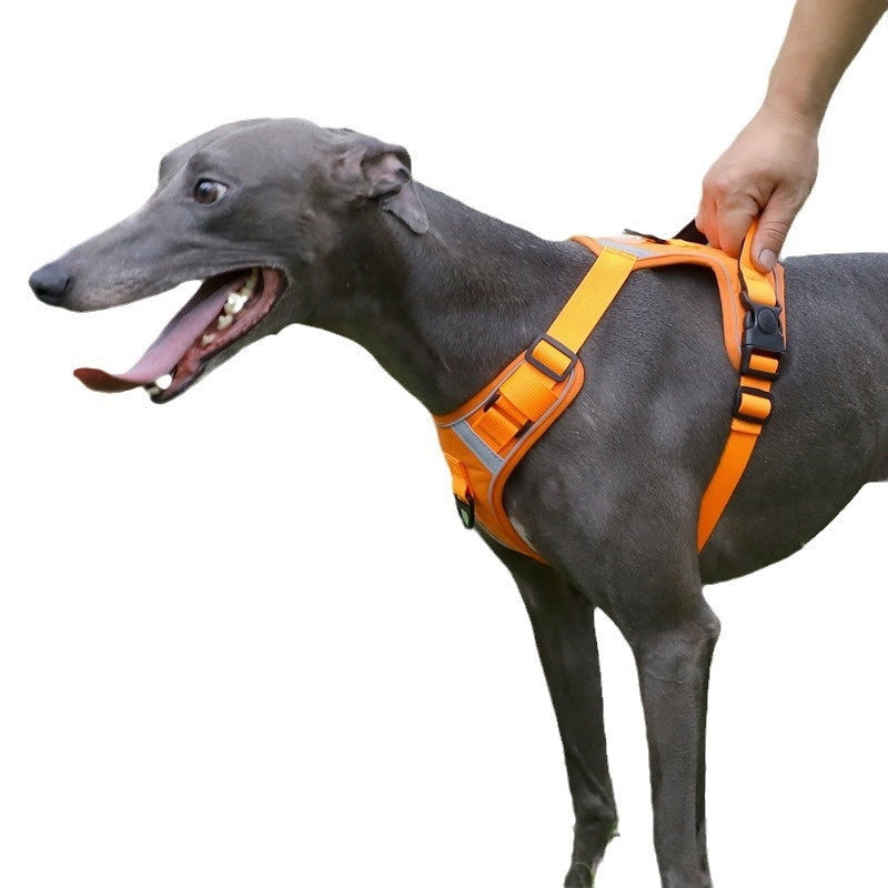 KFX-9120061 Adjustable Large Dog Chest Harness with Leash - Available in Multiple Colors