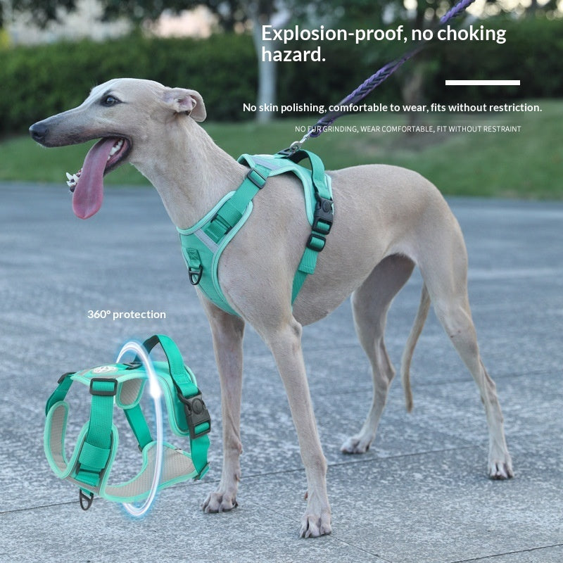 KFX-9120061 Adjustable Large Dog Chest Harness with Leash - Available in Multiple Colors