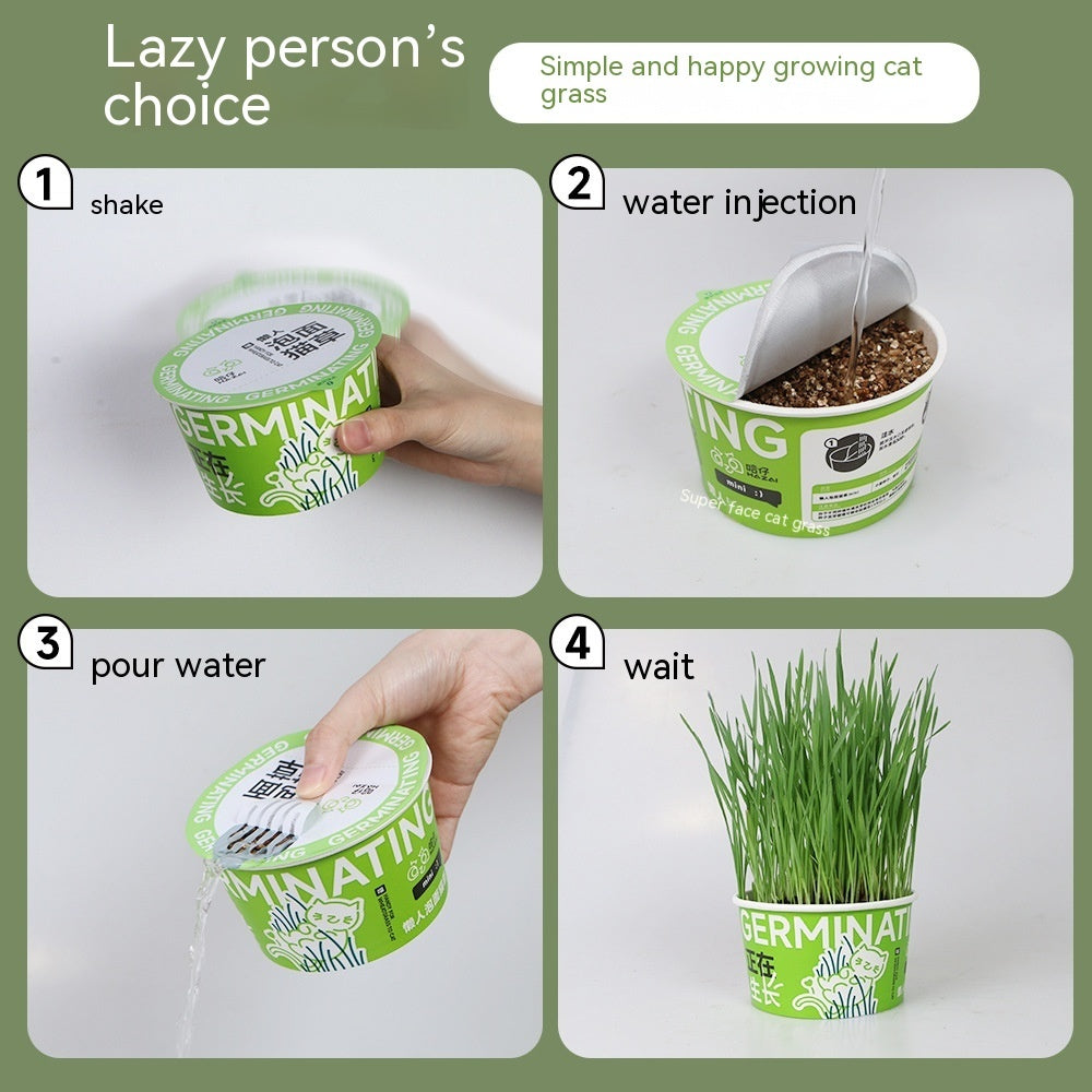 KFX-9121853 Hydroponic Cat Grass Oral Care Snacks for Hairball Relief