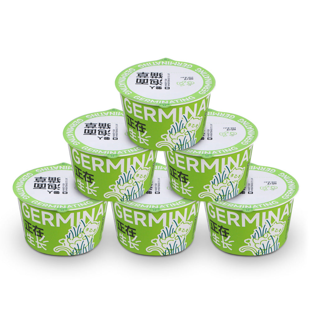 KFX-9121853 Hydroponic Cat Grass Oral Care Snacks for Hairball Relief