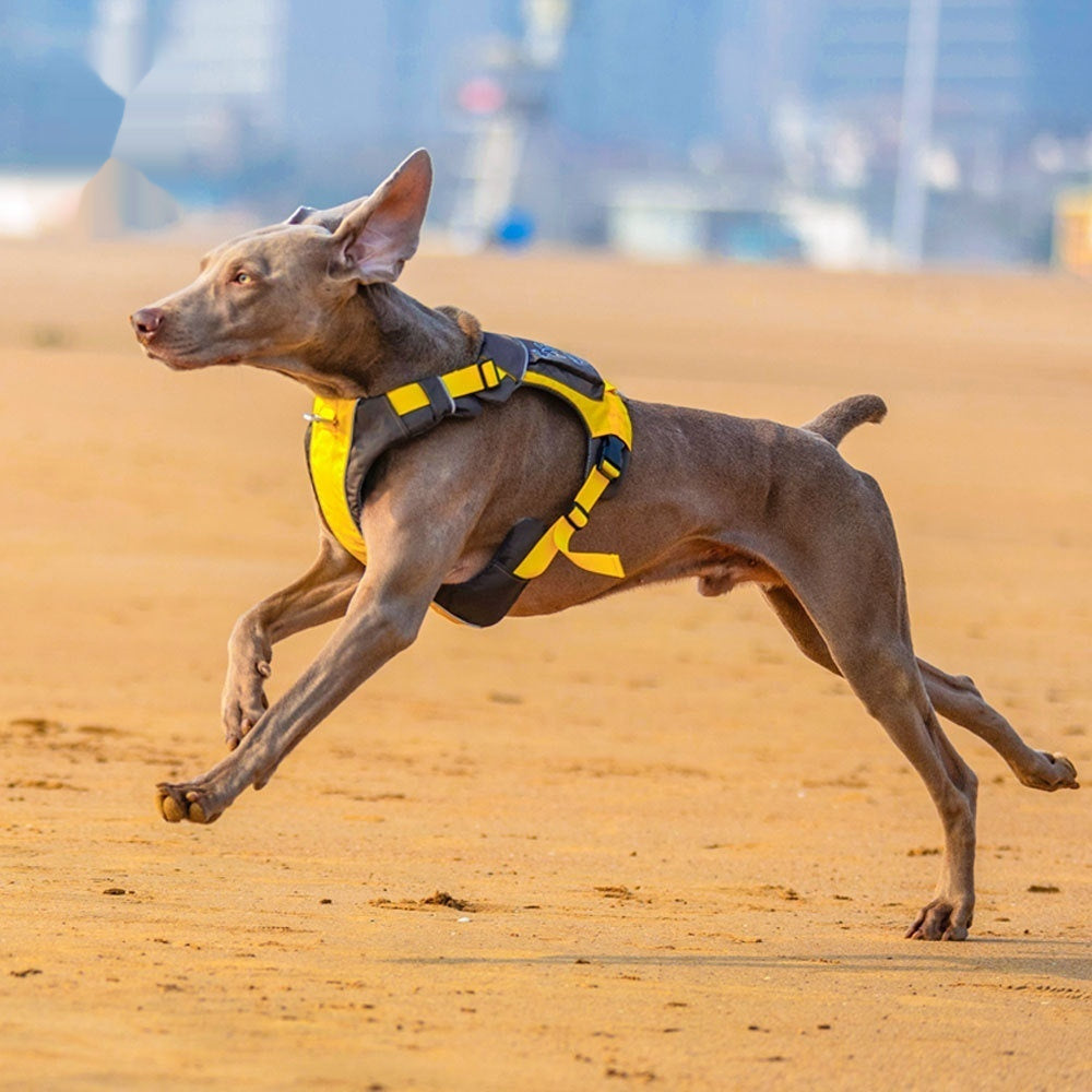 KFX-9125821 Dog Chest Strap Vest - Adjustable Nylon Harness in Orange/Blue and Yellow/Brown