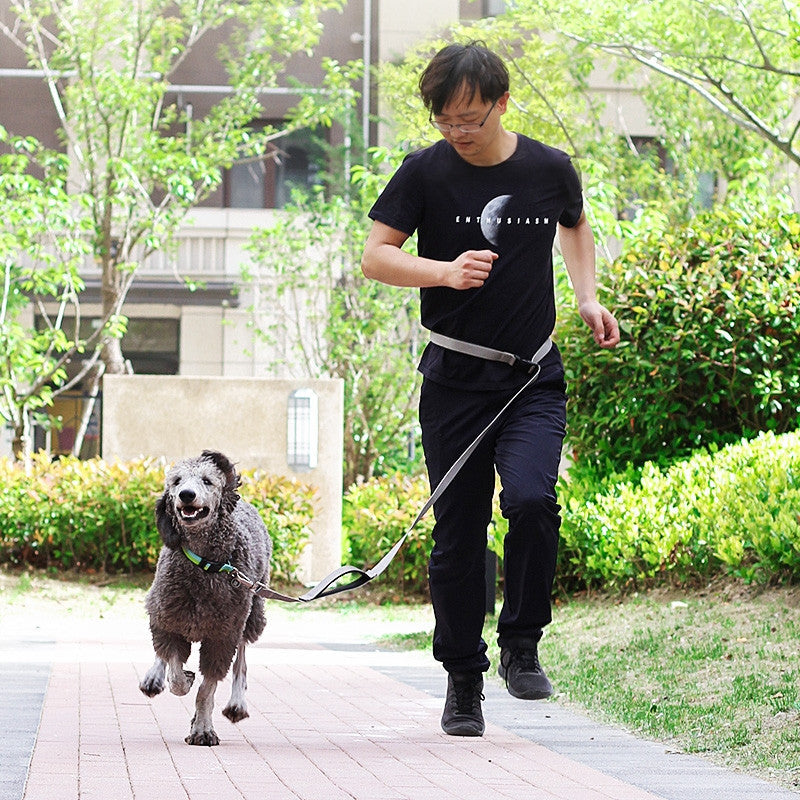 KFX-9137341 1.8m Durable nylon Dog Leash for Traction and Running