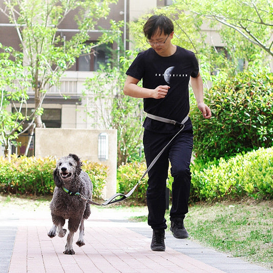 KFX-9137341 1.8m Durable nylon Dog Leash for Traction and Running