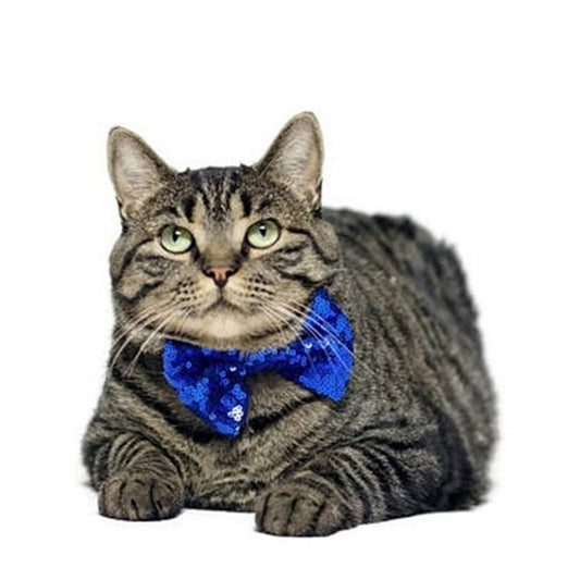 KFX-9139773 Pet Party Birthday Crown for Dogs and Cats, Non-Woven Pet Accessory with Bow, 9.5CM Diameter