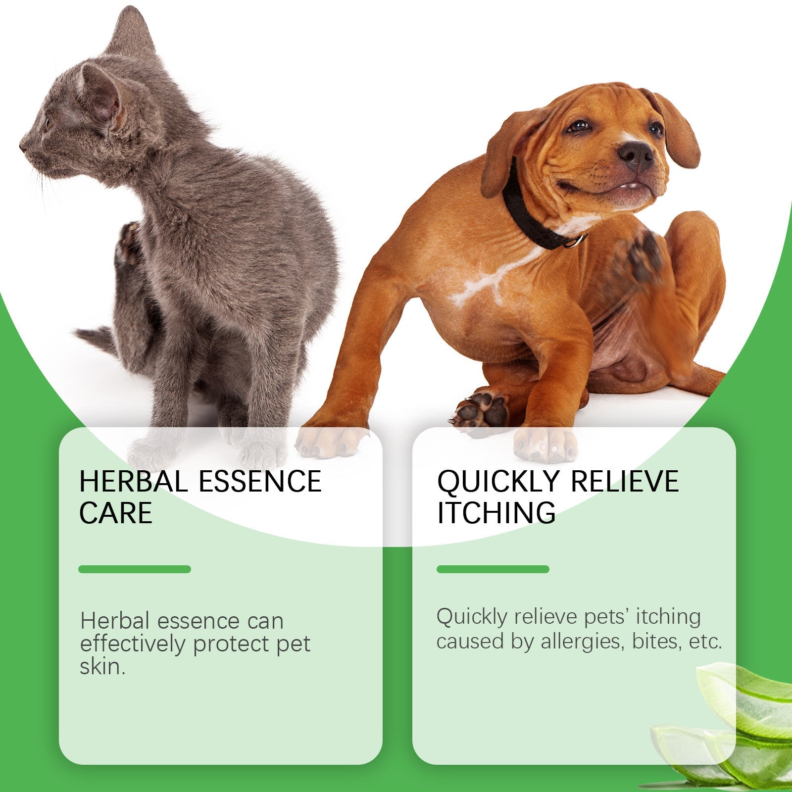 KFX-9145149 Pet Antipruritic Cream for Cats – Skin Repair with Tea Tree Oil and Botanical Extracts, 60g