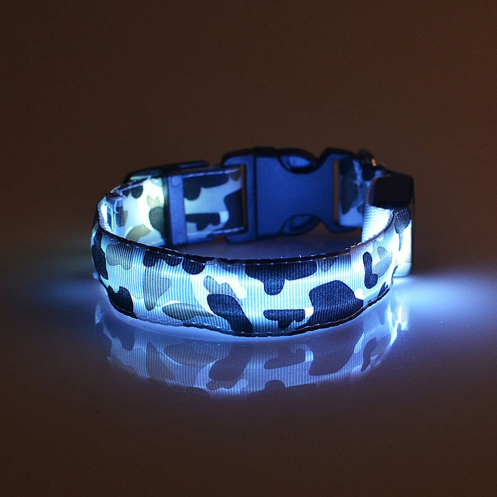 KFX-9145277 Luminous Camouflage Dog Collar with Adjustable Lighting Modes for Night Safety