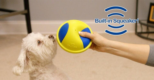 KFX-9148093 Indoor Rubber Ball Dog Toy with Squeaker and Sliding Base for Active Play