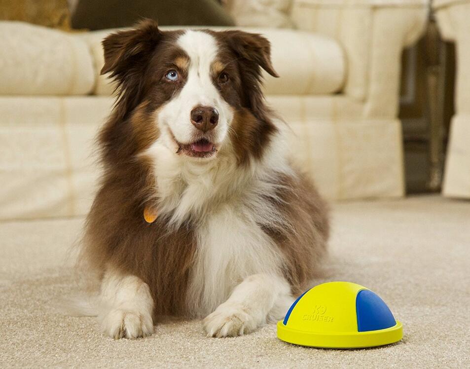 KFX-9148093 Indoor Rubber Ball Dog Toy with Squeaker and Sliding Base for Active Play