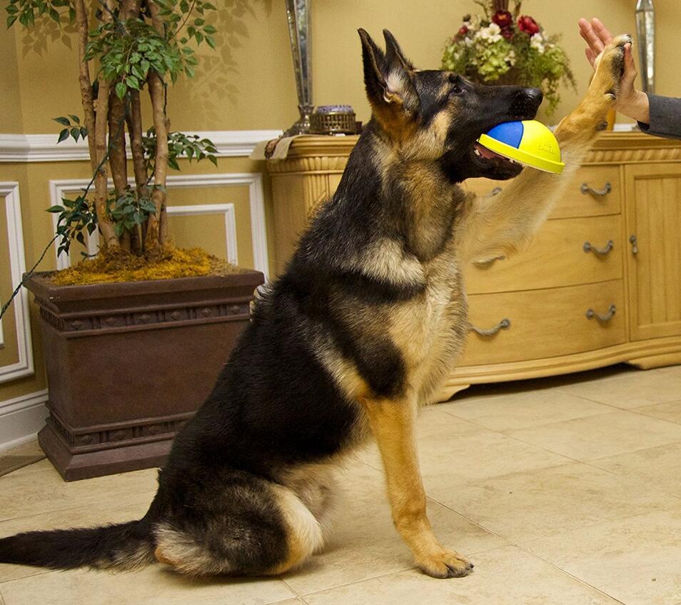 KFX-9148093 Indoor Rubber Ball Dog Toy with Squeaker and Sliding Base for Active Play