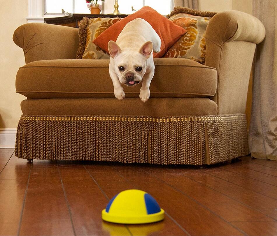 KFX-9148093 Indoor Rubber Ball Dog Toy with Squeaker and Sliding Base for Active Play