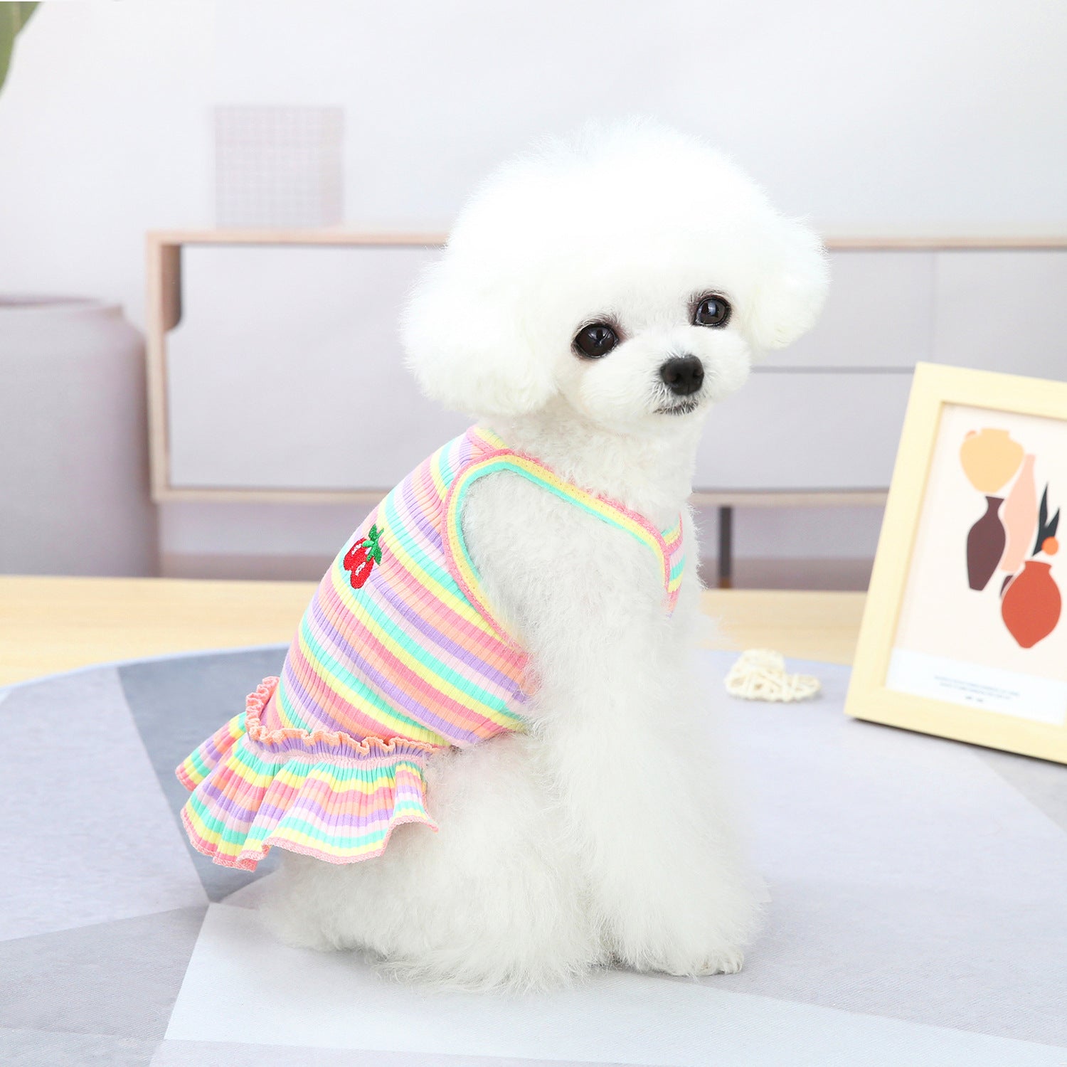 KFX-9149629 Colorful Pet Clothes: Striped Skirts & Vests for Dogs in Pink and Orange