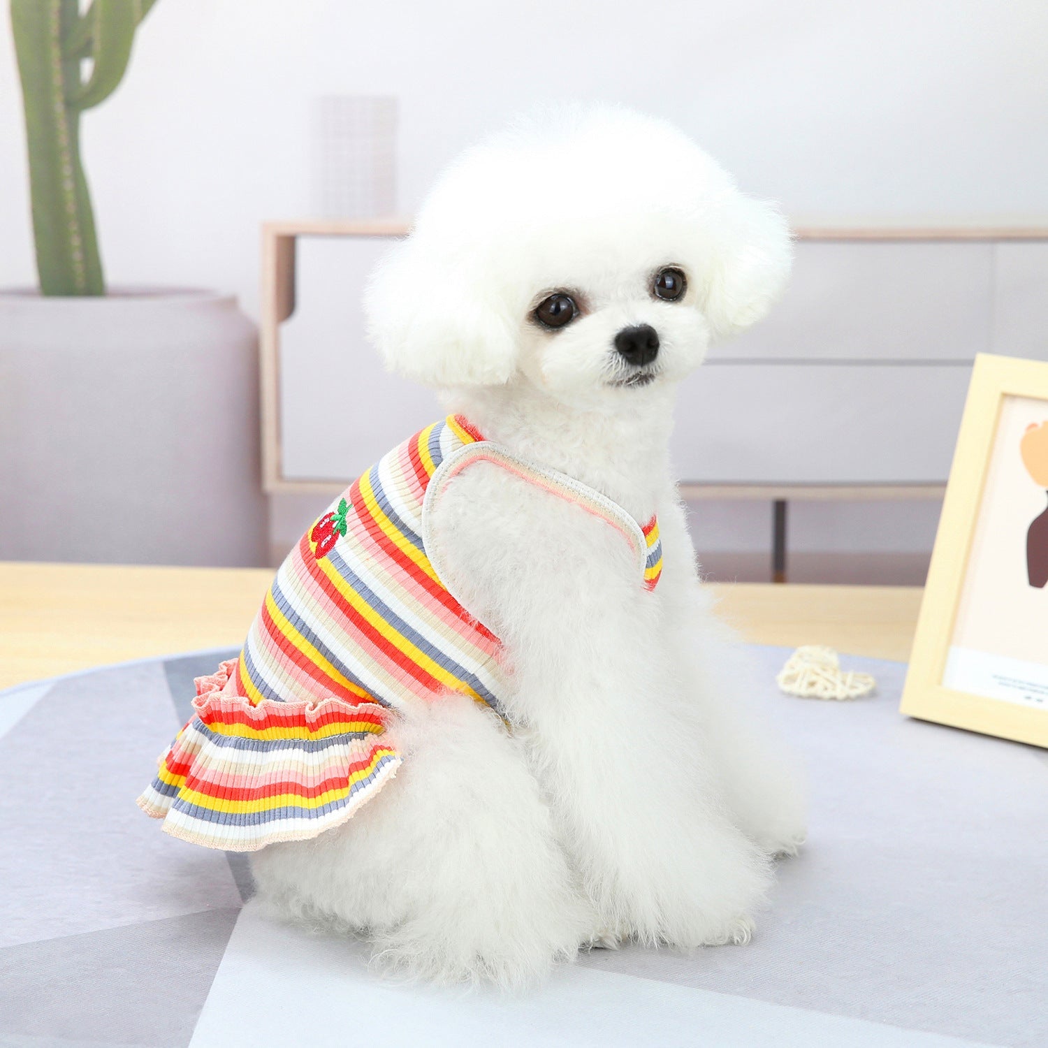 KFX-9149629 Colorful Pet Clothes: Striped Skirts & Vests for Dogs in Pink and Orange