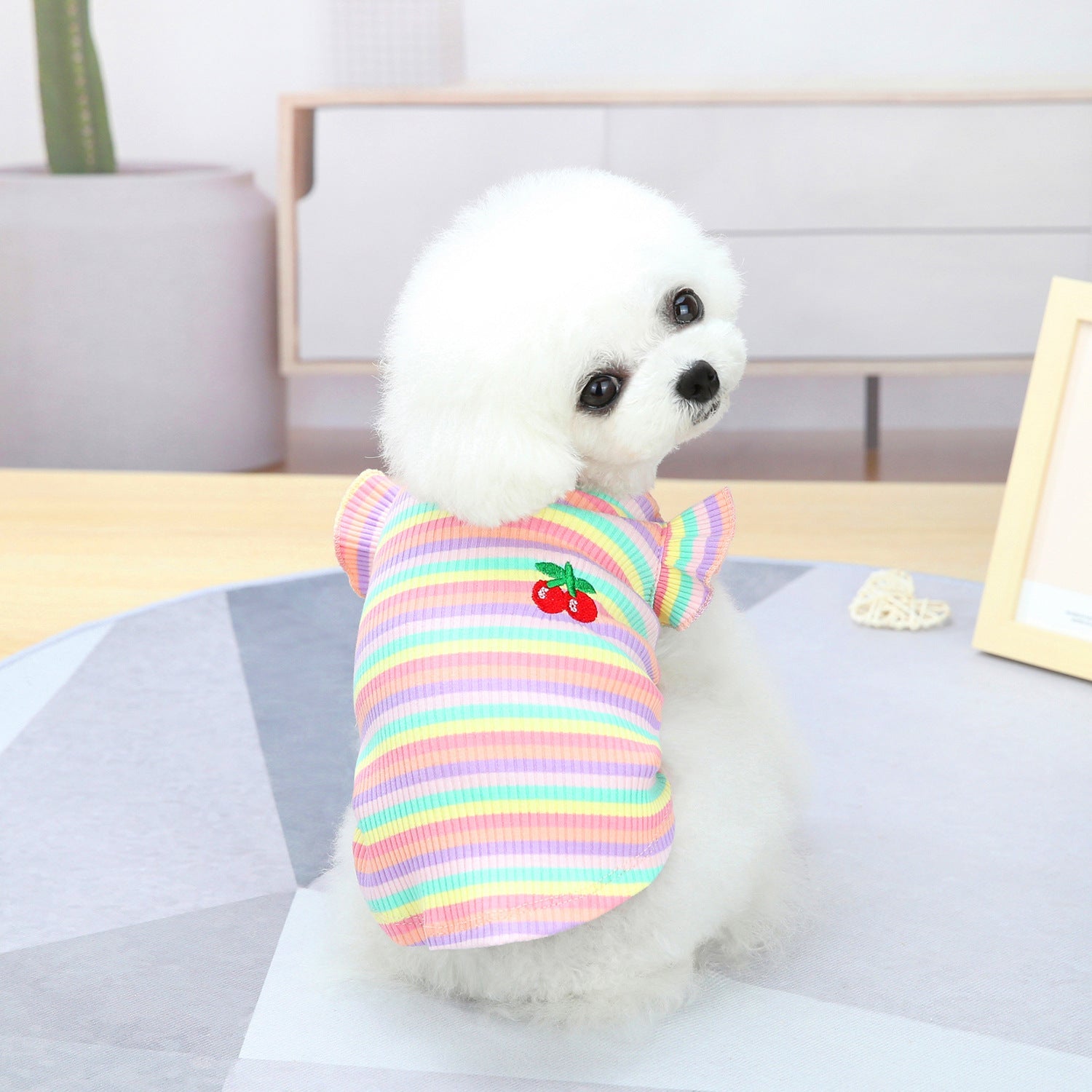 KFX-9149629 Colorful Pet Clothes: Striped Skirts & Vests for Dogs in Pink and Orange