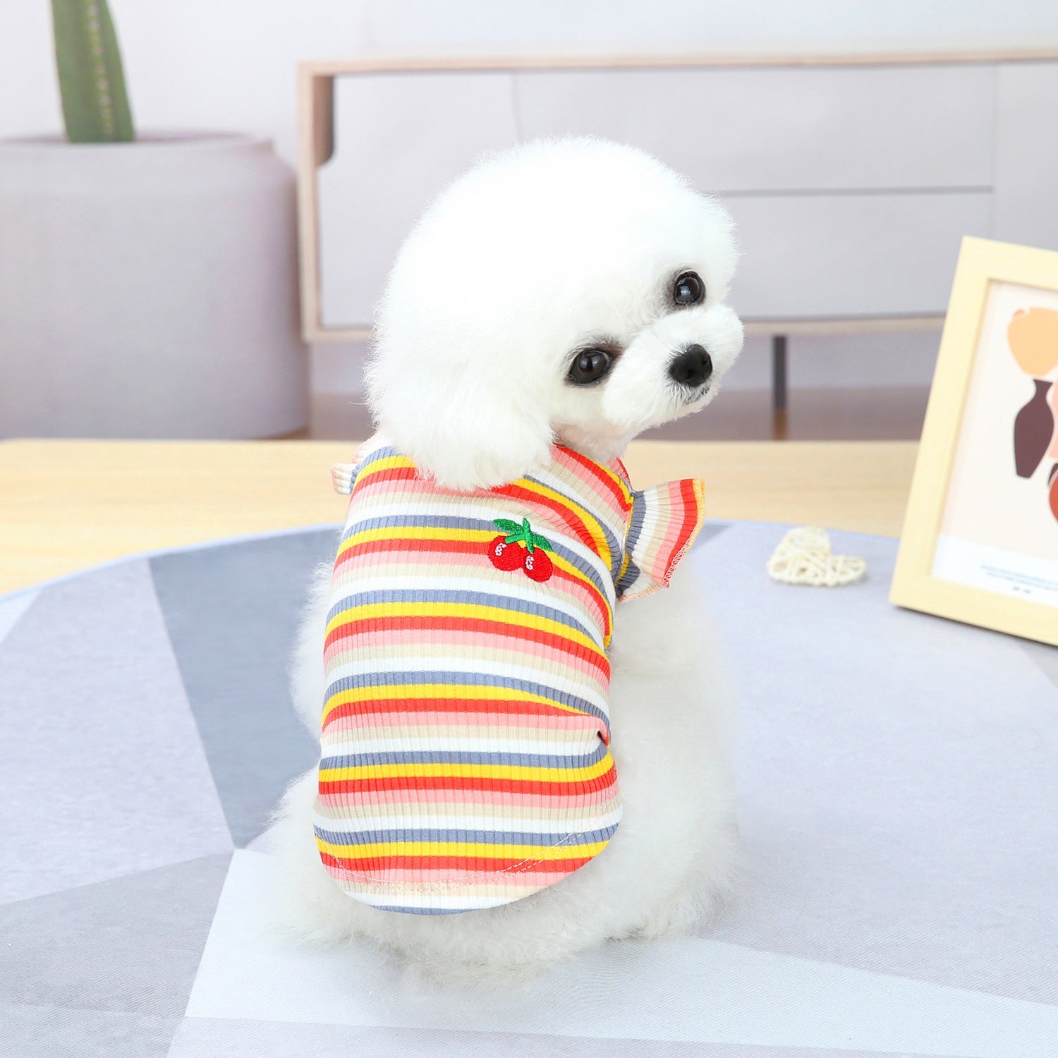 KFX-9149629 Colorful Pet Clothes: Striped Skirts & Vests for Dogs in Pink and Orange
