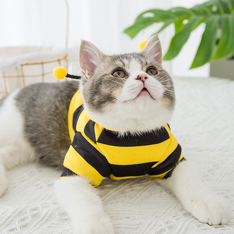 KFX-9156797 Cute Yellow Shredded Milk Hoodie for Pets - XS to XXL Sizes Available