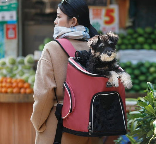 KFX-9161021 Pet Carrier Backpack for Dogs and Cats Made of Oxford Cloth and Mesh, Ideal for Pets Up to 15 Jin