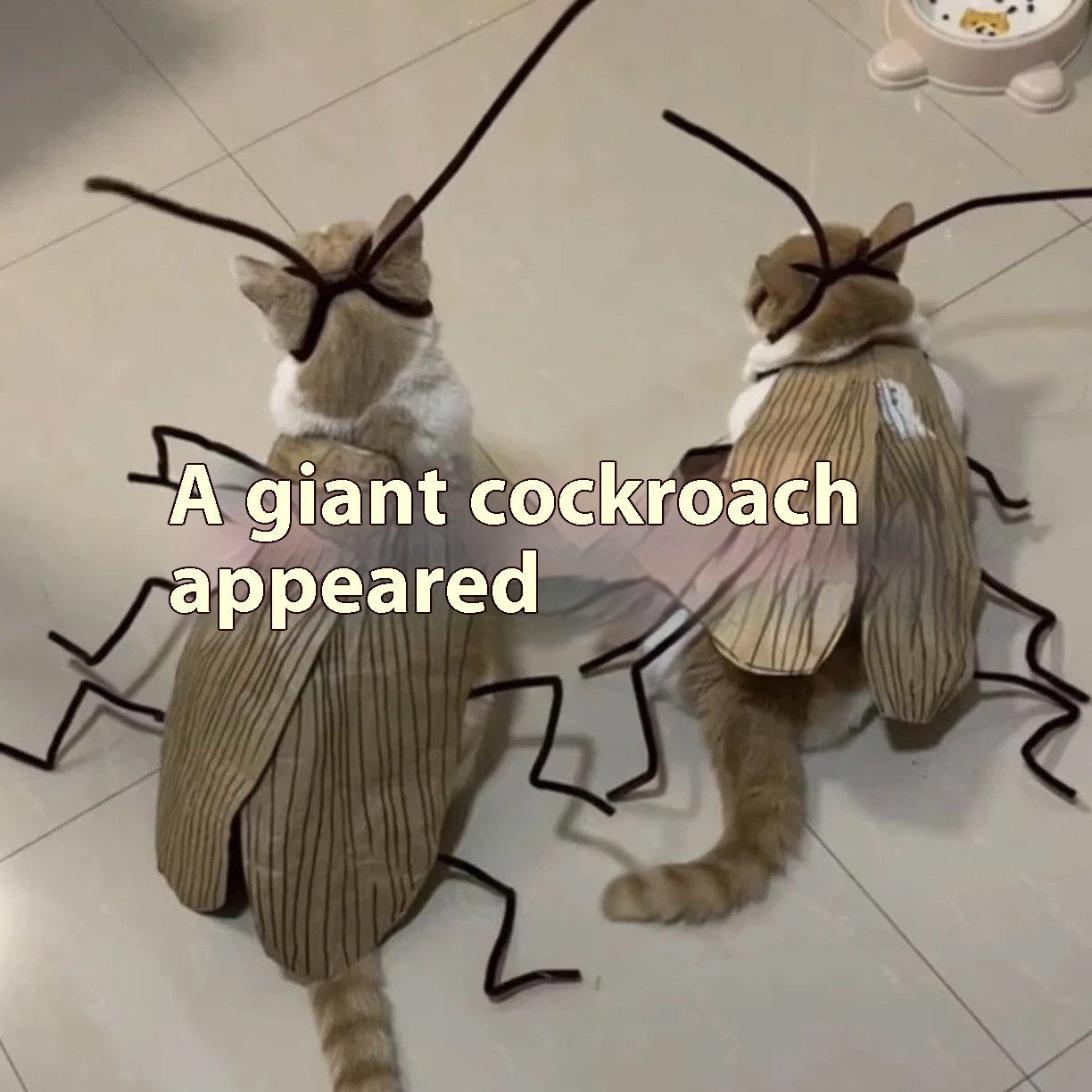 KFX-9169085 DIY Non-Woven Fabric Cat Cockroach Costume Material Kit for Fun Pet Apparel