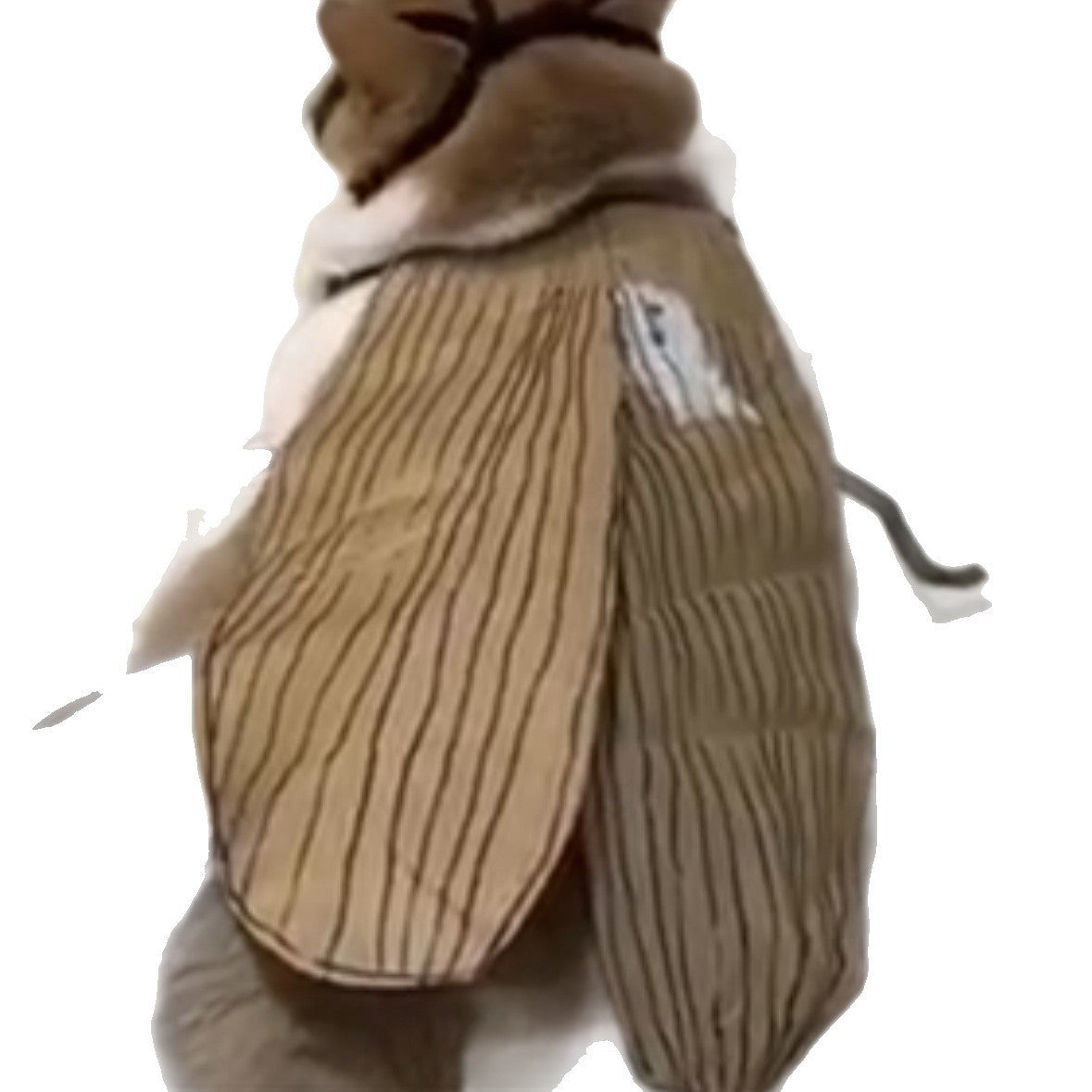 KFX-9169085 DIY Non-Woven Fabric Cat Cockroach Costume Material Kit for Fun Pet Apparel