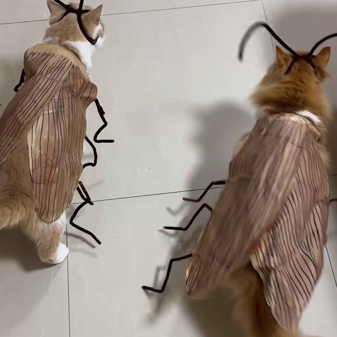 KFX-9169085 DIY Non-Woven Fabric Cat Cockroach Costume Material Kit for Fun Pet Apparel